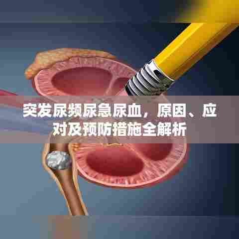 秀才人情纸半张 第5页