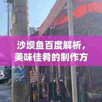 沙坝鱼百度解析，美味佳肴的制作方法与秘诀！