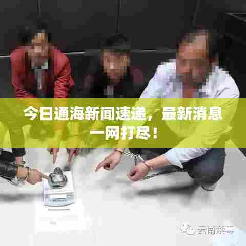 今日通海新闻速递，最新消息一网打尽！