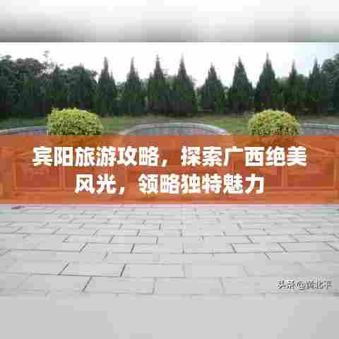 宾阳旅游攻略，探索广西绝美风光，领略独特魅力