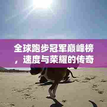 全球跑步冠军巅峰榜，速度与荣耀的传奇对决！