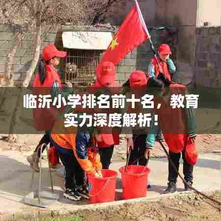 临沂小学排名前十名，教育实力深度解析！