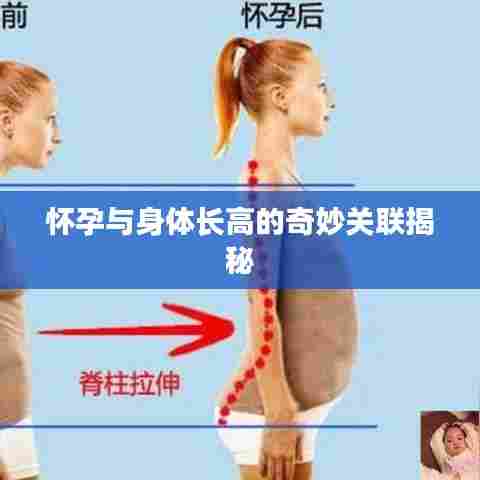 怀孕与身体长高的奇妙关联揭秘