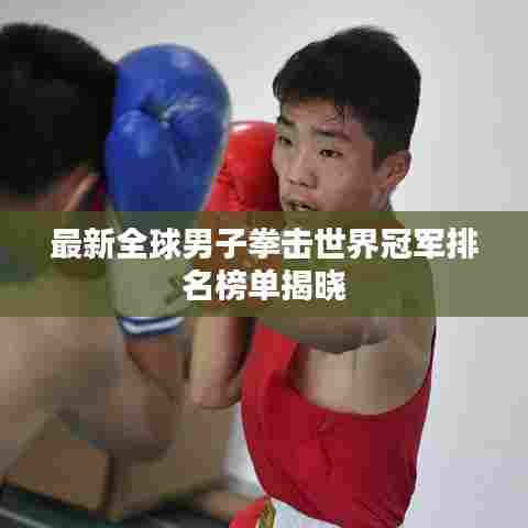 最新全球男子拳击世界冠军排名榜单揭晓