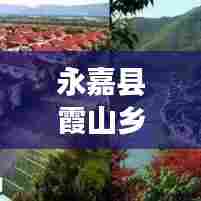 永嘉县霞山乡最新新闻头条速递