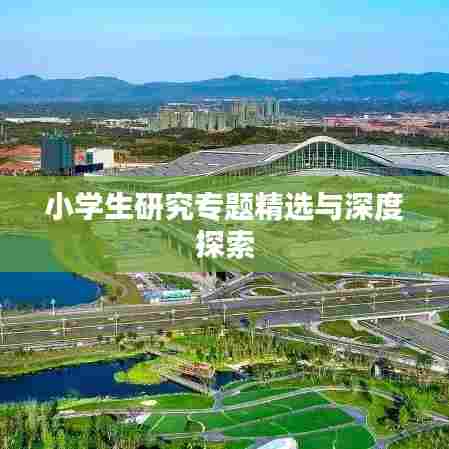 小学生研究专题精选与深度探索