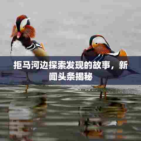 慷慨就义 第6页