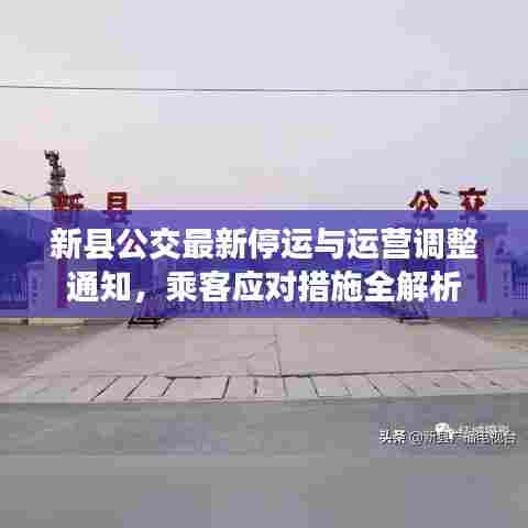 富贵利达 第5页