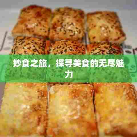 妙食之旅，探寻美食的无尽魅力