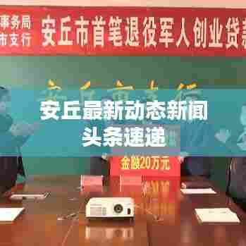 安丘最新动态新闻头条速递