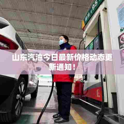 山东汽油今日最新价格动态更新通知！