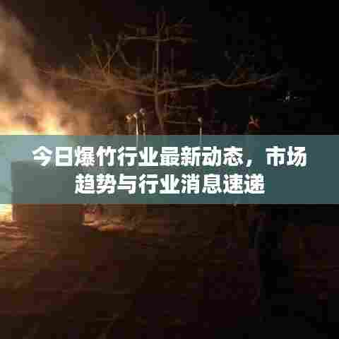 今日爆竹行业最新动态，市场趋势与行业消息速递