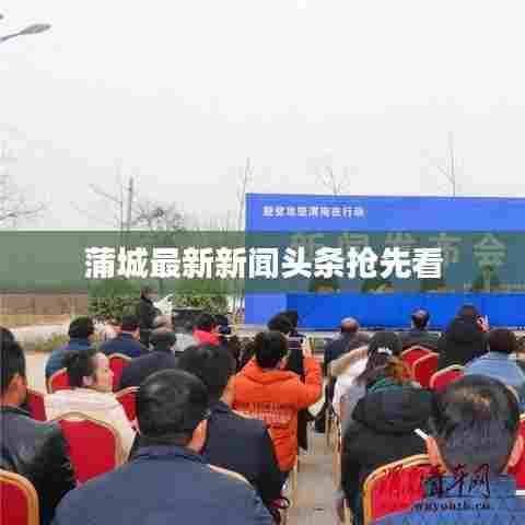 蒲城最新新闻头条抢先看