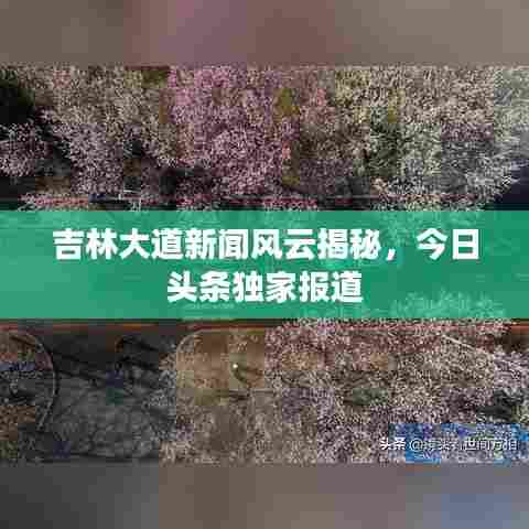 吉林大道新闻风云揭秘，今日头条独家报道