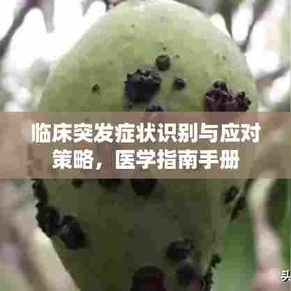 临床突发症状识别与应对策略，医学指南手册