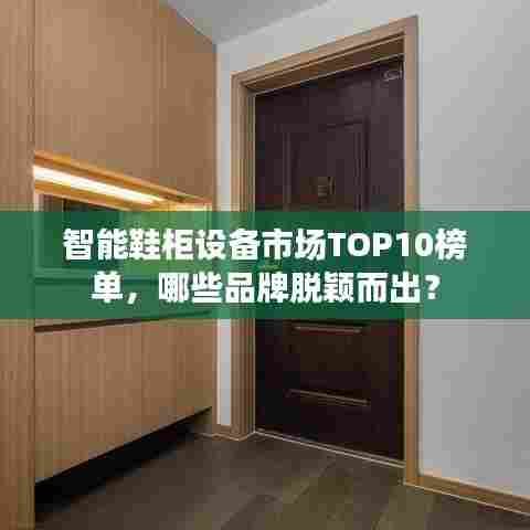 智能鞋柜设备市场TOP10榜单，哪些品牌脱颖而出？