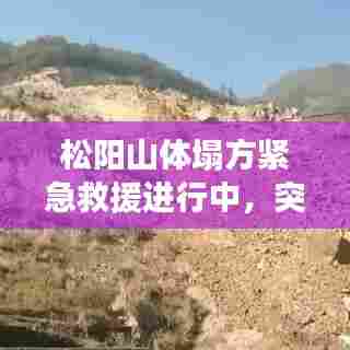 松阳山体塌方紧急救援进行中，突发事件的严峻考验