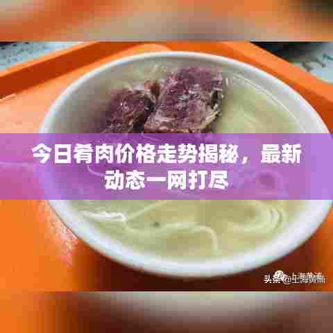 今日肴肉价格走势揭秘，最新动态一网打尽