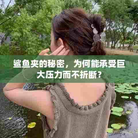 鲨鱼夹的秘密，为何能承受巨大压力而不折断？