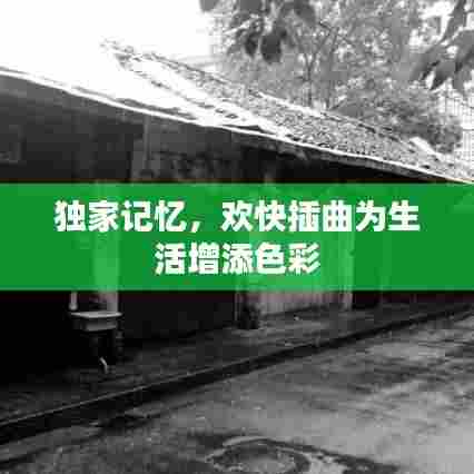 独家记忆，欢快插曲为生活增添色彩