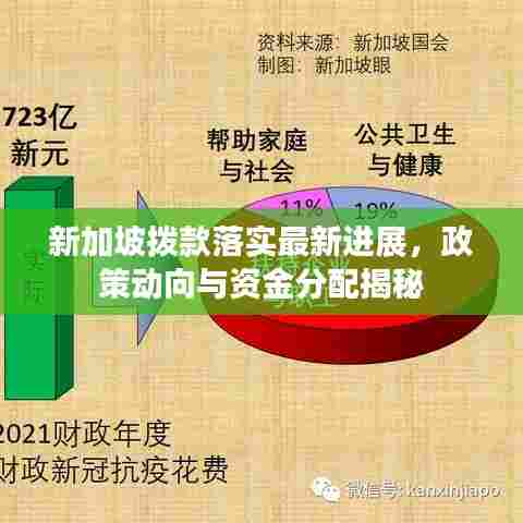 新加坡拨款落实最新进展，政策动向与资金分配揭秘