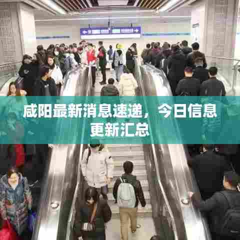 咸阳最新消息速递，今日信息更新汇总