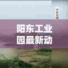 阳东工业园最新动态，今日头条新闻揭秘！