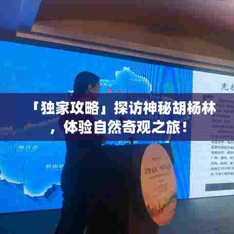 「独家攻略」探访神秘胡杨林，体验自然奇观之旅！