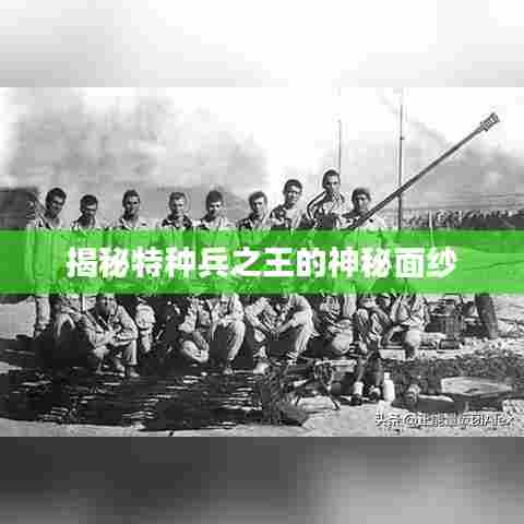 揭秘特种兵之王的神秘面纱