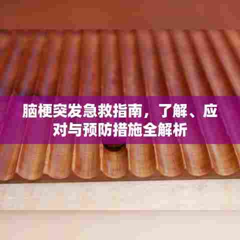 脑梗突发急救指南，了解、应对与预防措施全解析