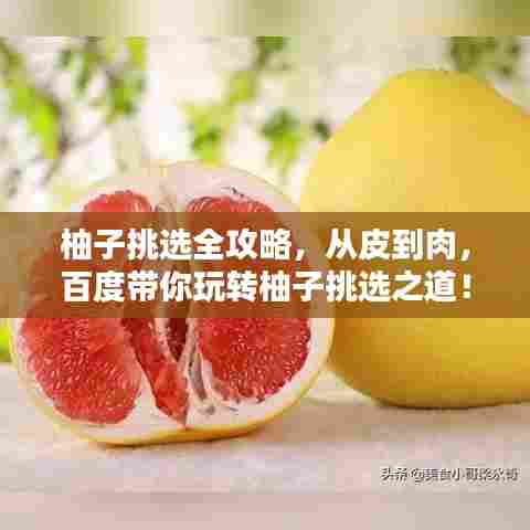 柚子挑选全攻略，从皮到肉，百度带你玩转柚子挑选之道！