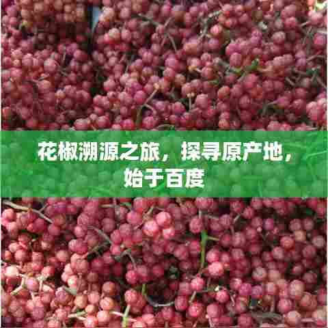 花椒溯源之旅，探寻原产地，始于百度