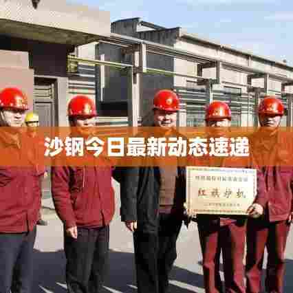 沙钢今日最新动态速递
