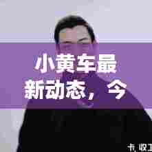 小黄车最新动态，今日头条独家爆料！