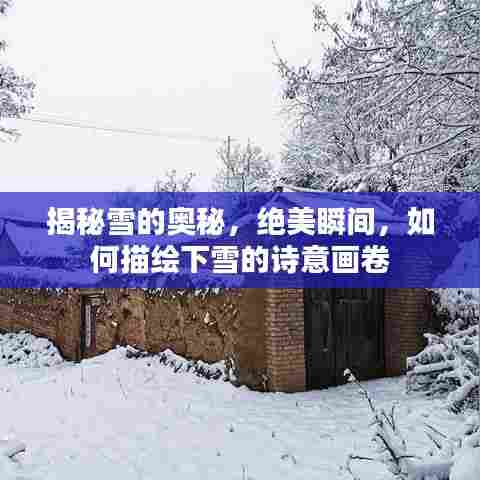 揭秘雪的奥秘，绝美瞬间，如何描绘下雪的诗意画卷