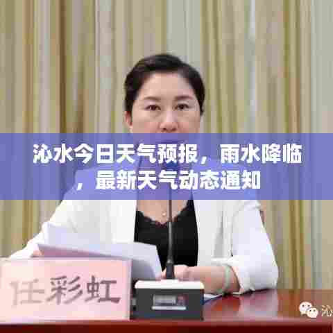 沁水今日天气预报，雨水降临，最新天气动态通知