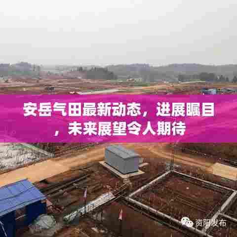 安岳气田最新动态，进展瞩目，未来展望令人期待