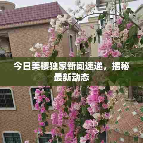 今日美樱独家新闻速递，揭秘最新动态