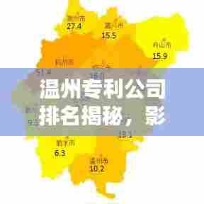 温州专利公司排名揭秘，影响力深度解析