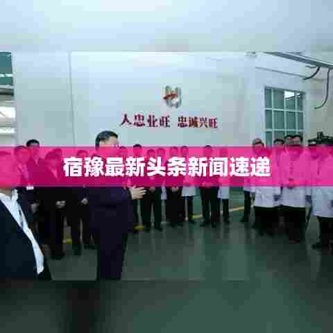 宿豫最新头条新闻速递