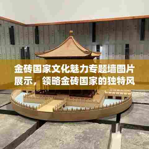 金砖国家文化魅力专题墙图片展示，领略金砖国家的独特风采