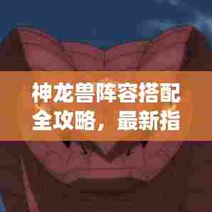 神龙兽阵容搭配全攻略，最新指南助你轻松搭配强力组合！