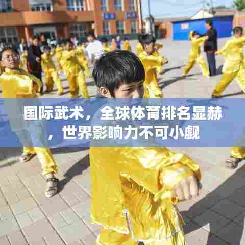 国际武术，全球体育排名显赫，世界影响力不可小觑