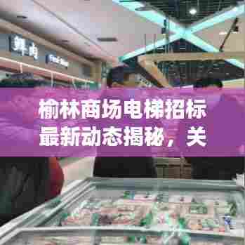 榆林商场电梯招标最新动态揭秘，关注招标公告更新，掌握商机先机