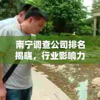 南宁调查公司排名揭晓，行业影响力深度解析