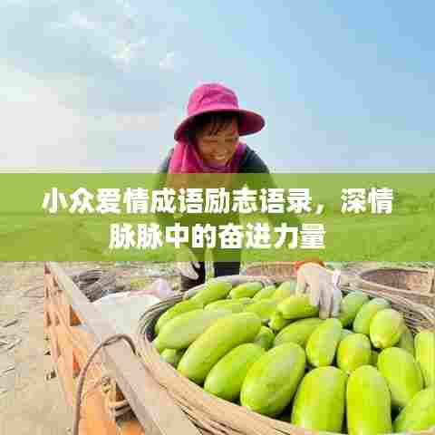 小众爱情成语励志语录，深情脉脉中的奋进力量