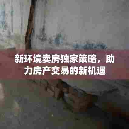 新环境卖房独家策略，助力房产交易的新机遇