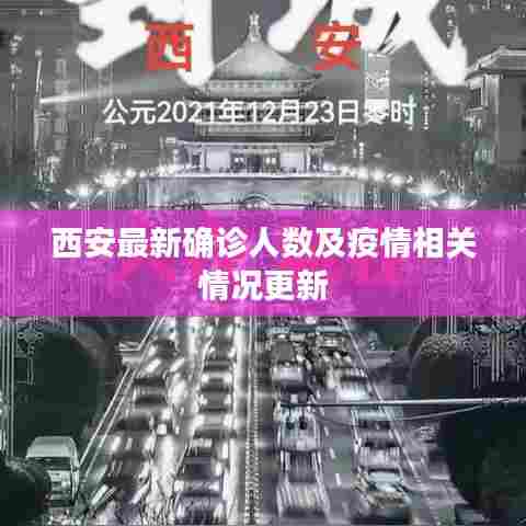 雍荣闲雅 第6页