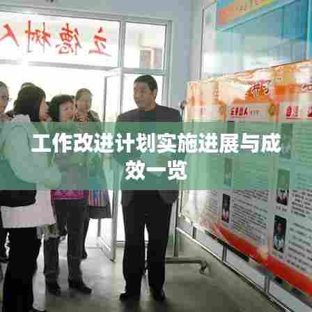 工作改进计划实施进展与成效一览