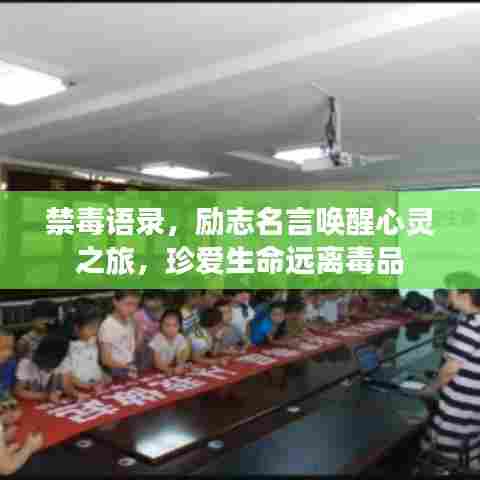 禁毒语录，励志名言唤醒心灵之旅，珍爱生命远离毒品